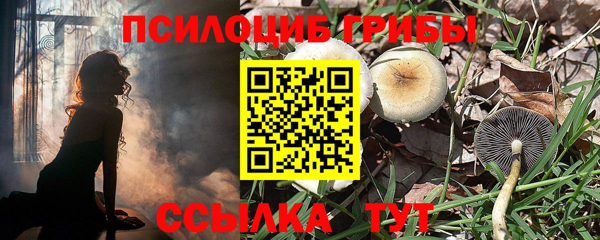 Псилоцибиновые грибы прущие грибы Азнакаево