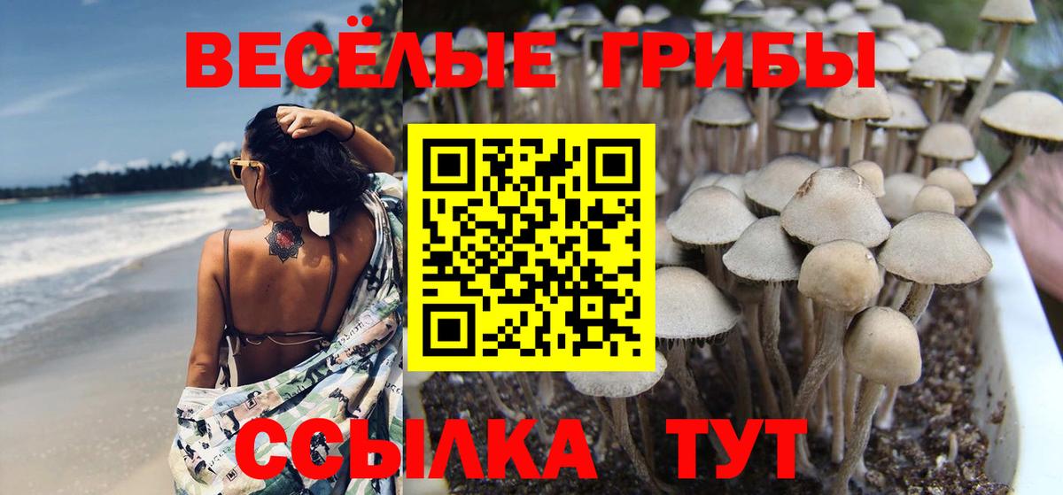 хочу   Псилоцибиновые грибы MAGIC MUSHROOMS  Азнакаево  Вход с VPN  Галлюциногенные грибы ЛСД 